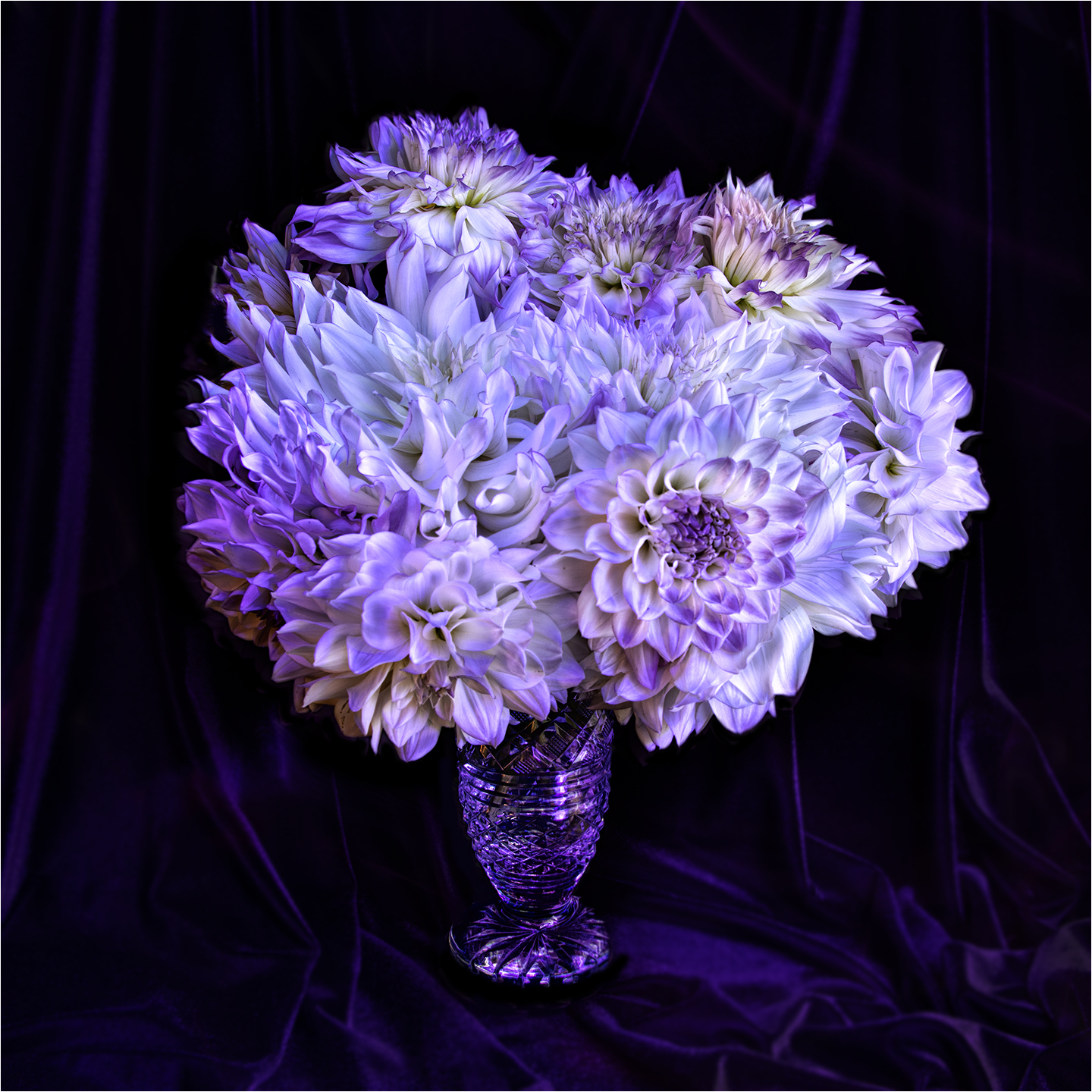 3rd PrizeAssigned Pictorial In Class 3 By Beth Fabey For PurpleTip Dahlias Painted W Black Light JAN-2024.jpg